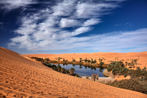 蓝天白云下的沙漠风景图片