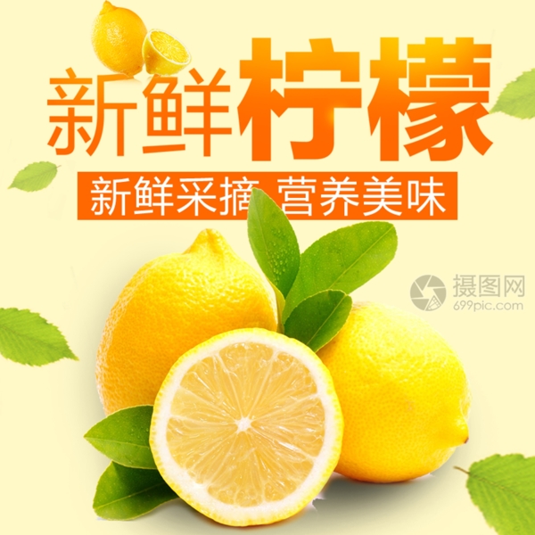 新鲜采摘柠檬水果主图