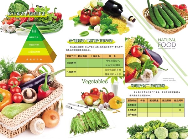 蔬菜开心农场原生态绿色宣传三折页