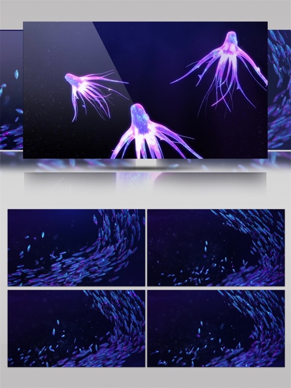 紫色光束水母视频素材