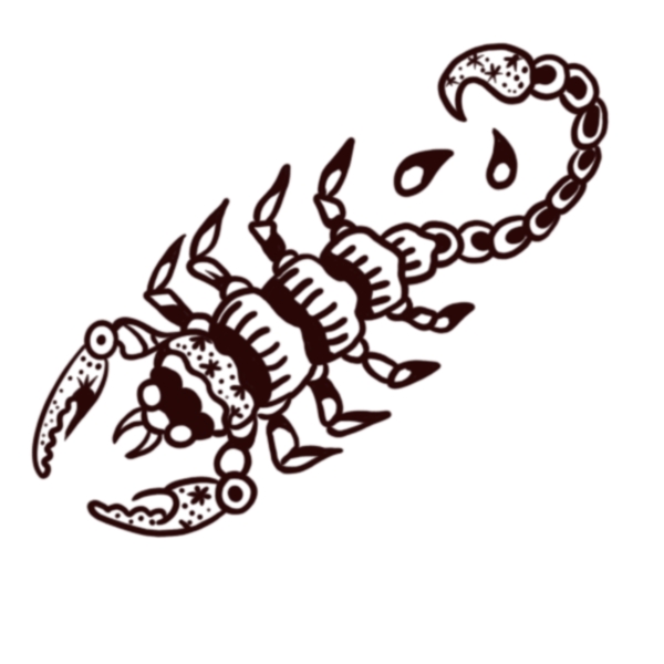 欧美纹身手稿手绘蝎子图腾