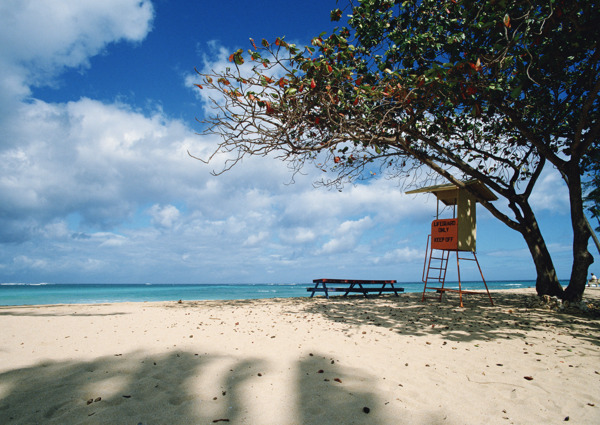 海岛风情旅游观光沙滩风情海边海浪异国风情蓝天白云树木
