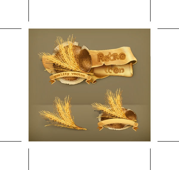 麦穗小麦水稻图片