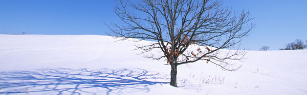 雪景淘宝海报背景图片34