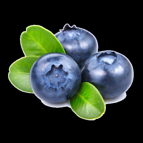 水果绿叶蓝莓元素