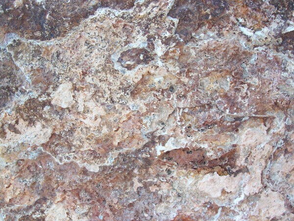 木化石大理石贴图