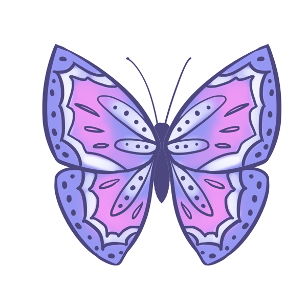 昆虫蝴蝶紫色