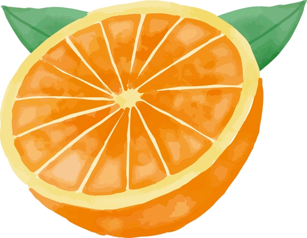 手绘橙子元素