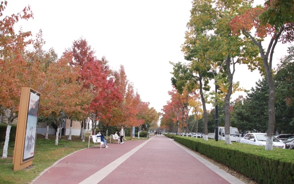 公园秋天图片