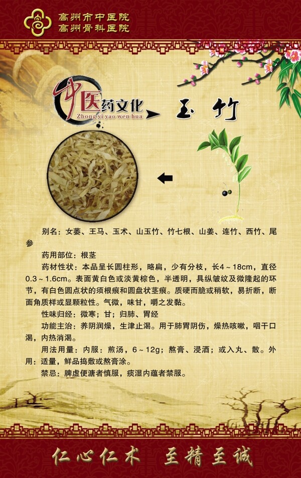 玉竹中医药文化图片