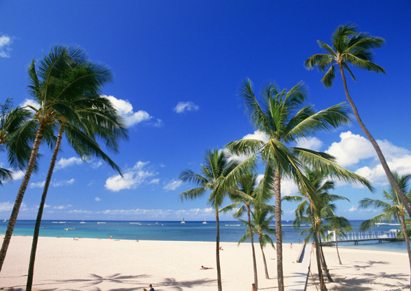 海岛风情旅游观光沙滩风情海边冲浪椰树海浪异国风情