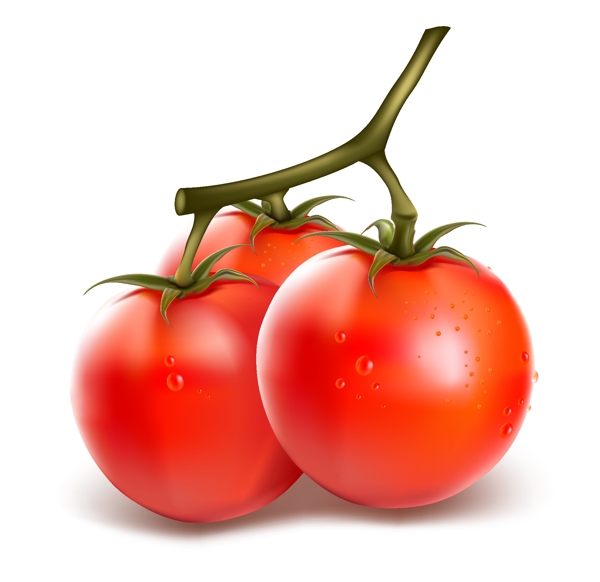 矢量西红柿矢量素材图片