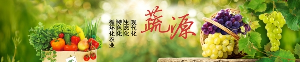 有机蔬菜水果banner