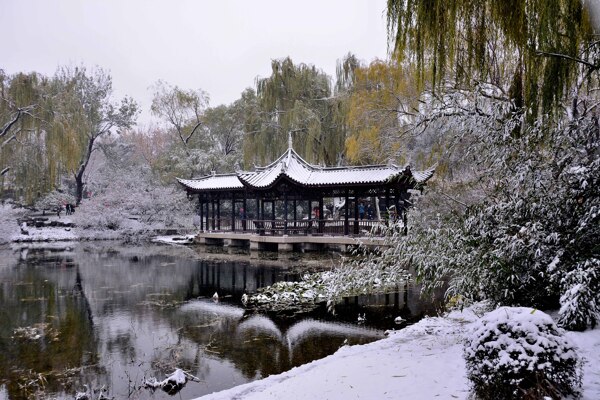 雪中陶然亭公园