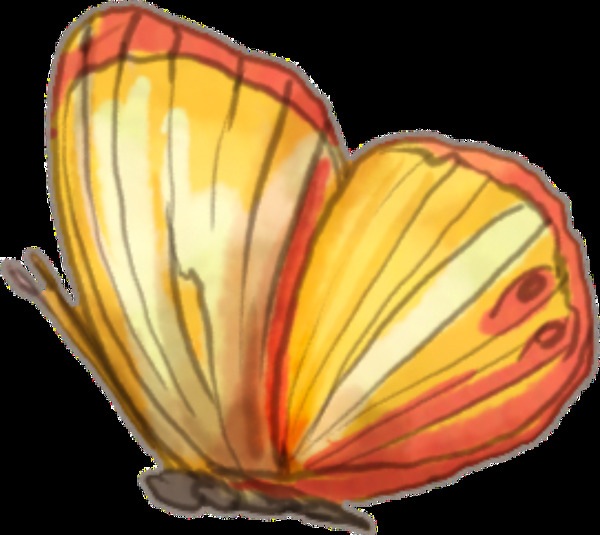 手绘金黄色蝴蝶透明装饰图案