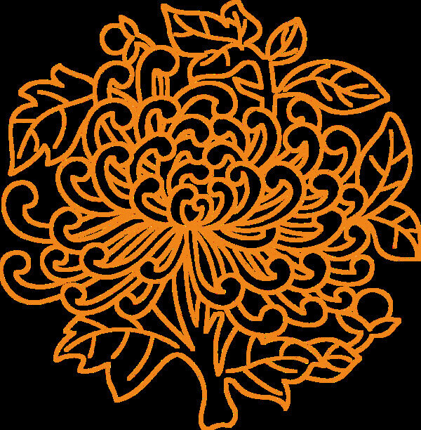 简约橙色线稿手绘菊花装饰元素