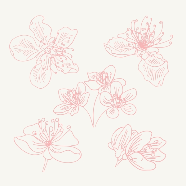 手绘线稿春季花卉花朵