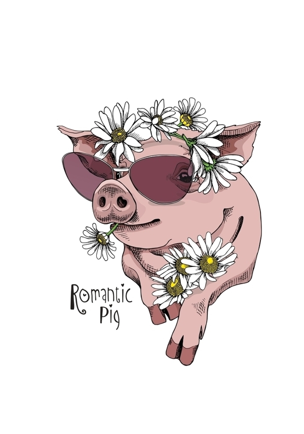 卡通图案卡通动物猪文字图