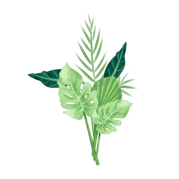 绿色大植物树叶装饰元素