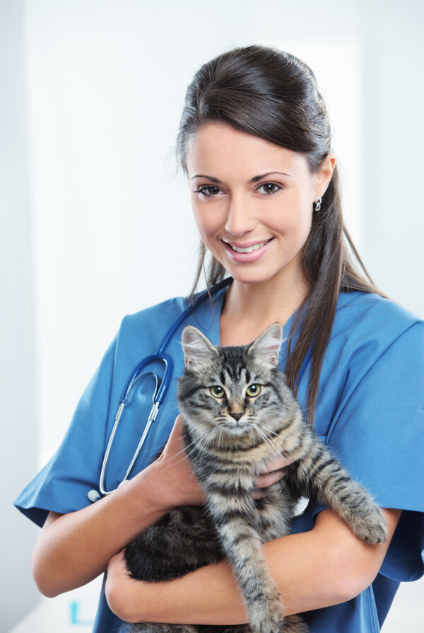 抱着小猫的宠物医生图片