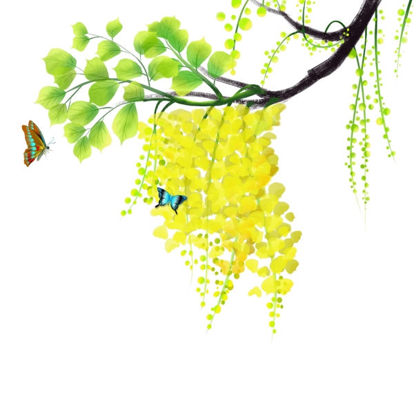 手绘春天树枝和蝴蝶