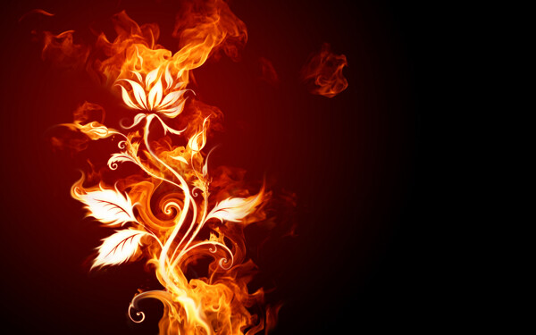火焰莲花壁纸