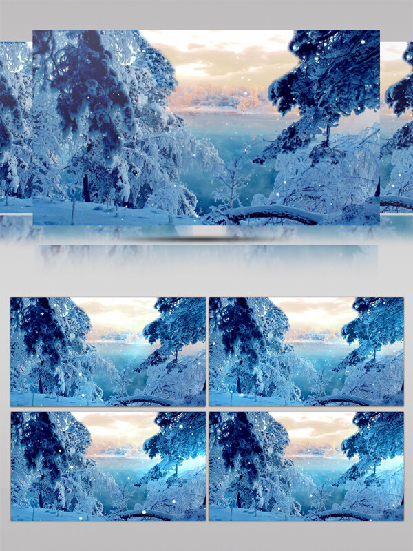 浪漫雪景飘雪松树林视频素材