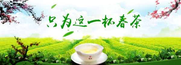 只为这一杯春茶