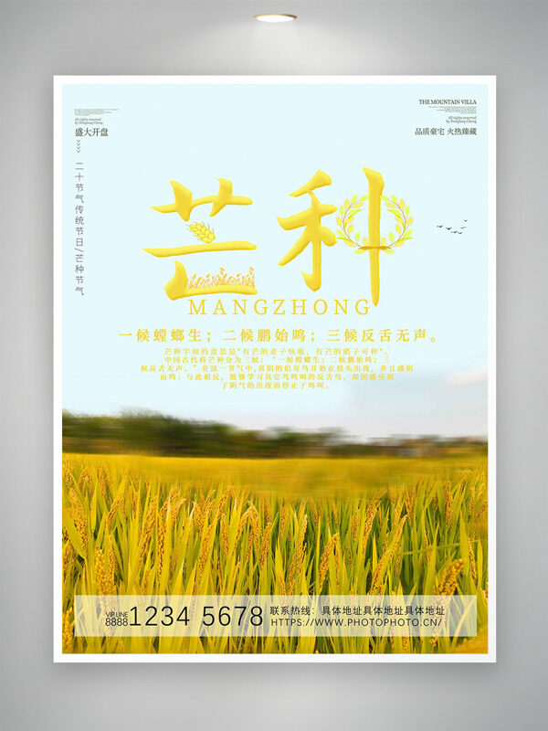 金色麦田自然风光背景芒种节气海报