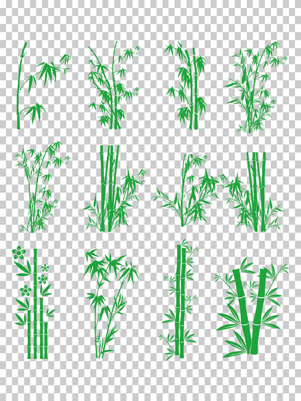 简约创意设计手绘竹子竹林插画