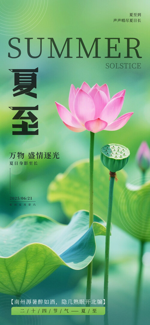 简约绿色主题荷塘荷花创意夏至节气海报