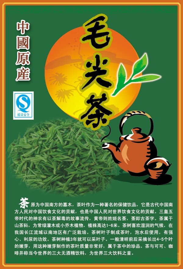 毛尖茶图片