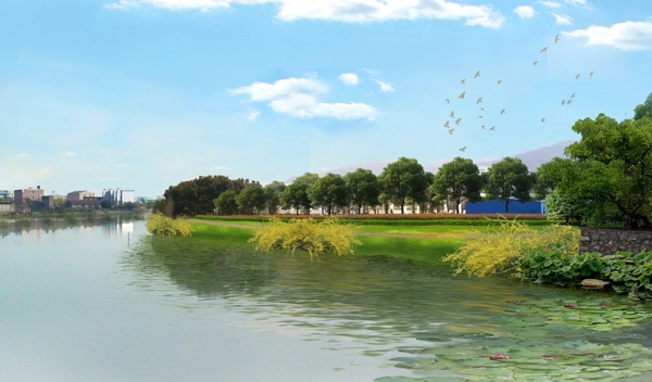 河边绿化图片