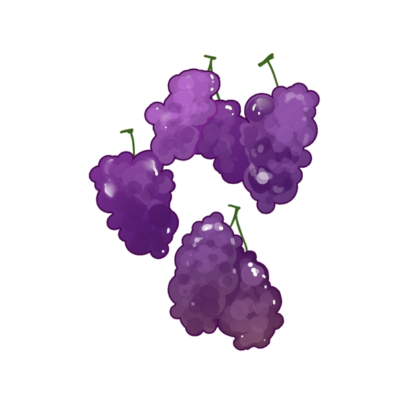 美味紫色葡萄
