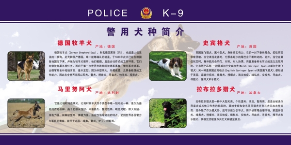 警犬图片