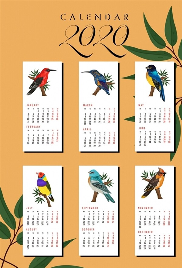 鸟类年历卡片图片
