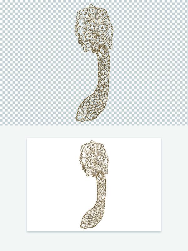 古代版画矢量图案手绘线稿中药材肉苁蓉