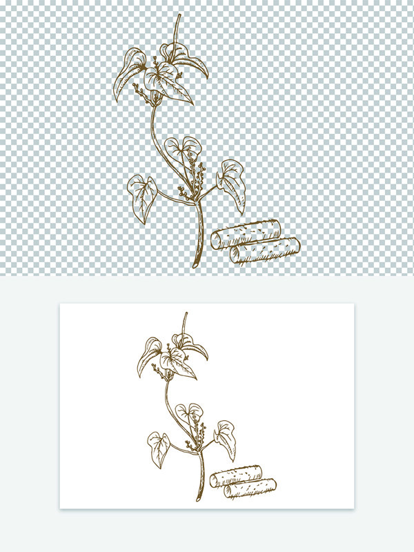 古代版画创意手绘中药材山药线稿