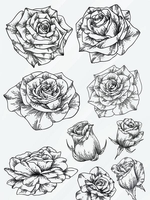 手绘卡通玫瑰花黑白线稿装饰图案