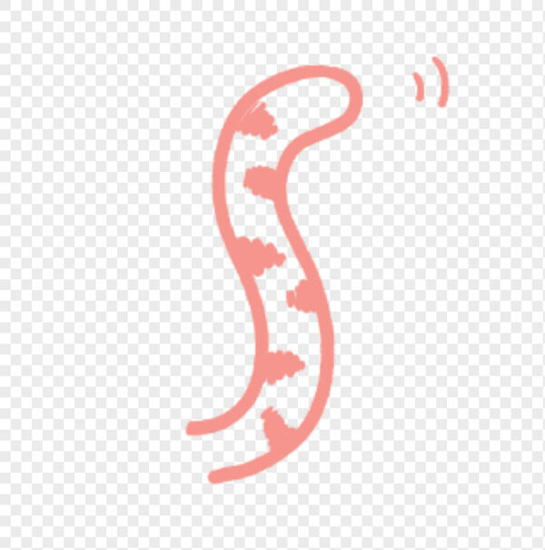 手绘粉色弯曲摇动猫咪小尾巴