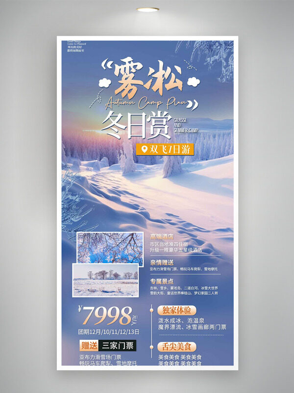 浪漫唯美冬日赏雾凇旅游海报