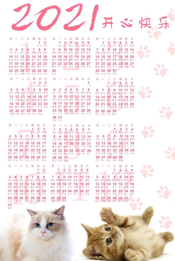 猫日历图片