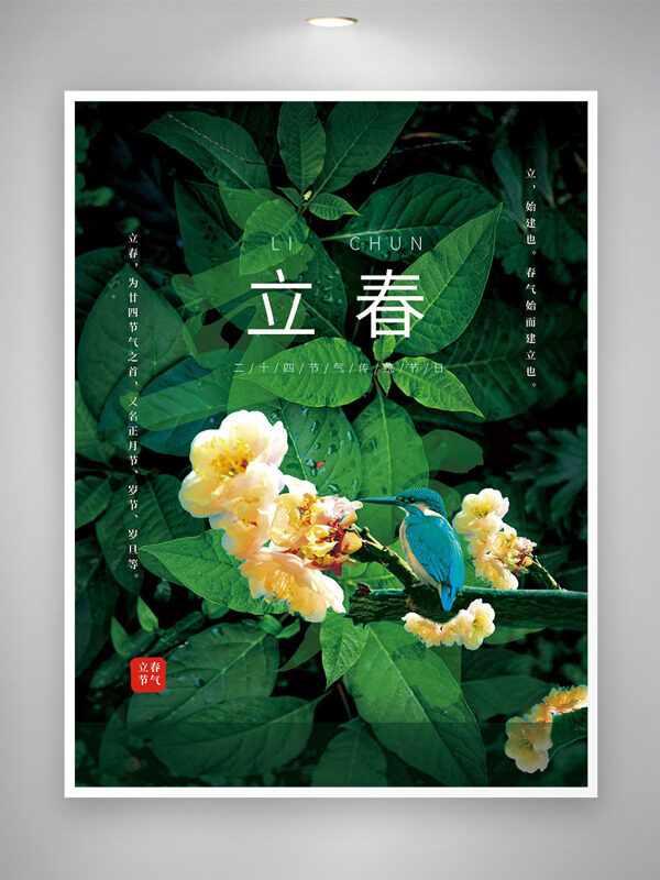中国传统节气之立春绿叶背景海报