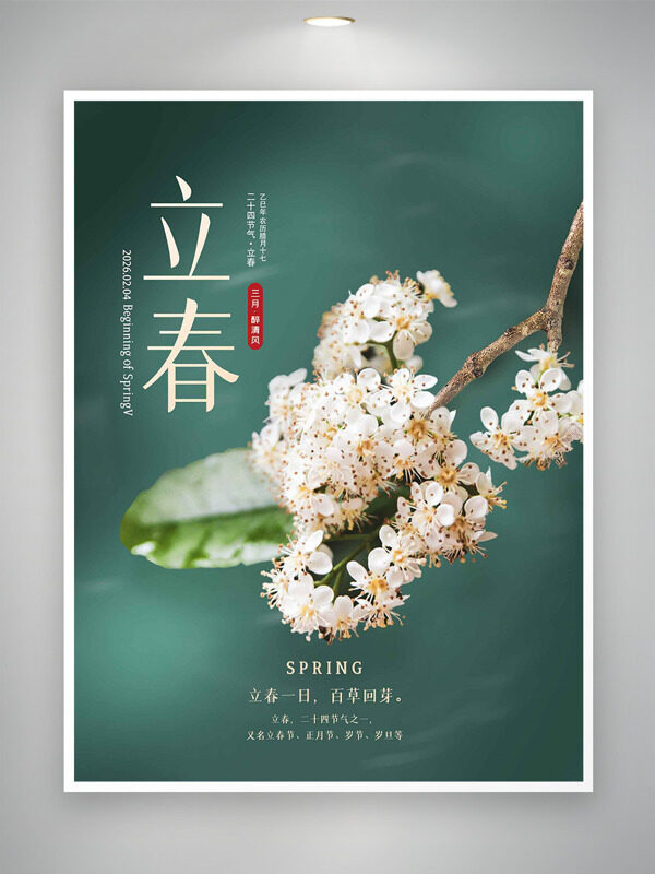 极简绿色立春节气白色花卉插画海报