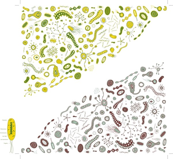 手绘微生物矢量素材