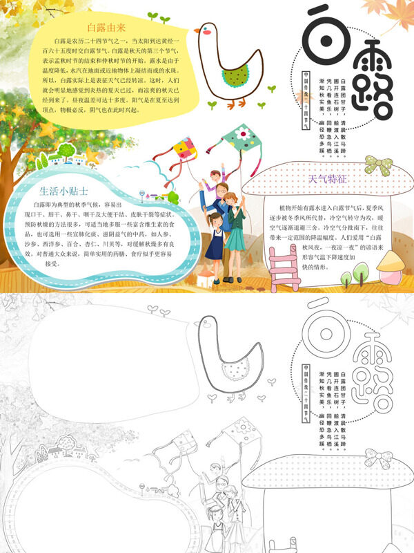 精美白露白露知识手抄报