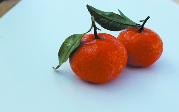 水果桔子图片