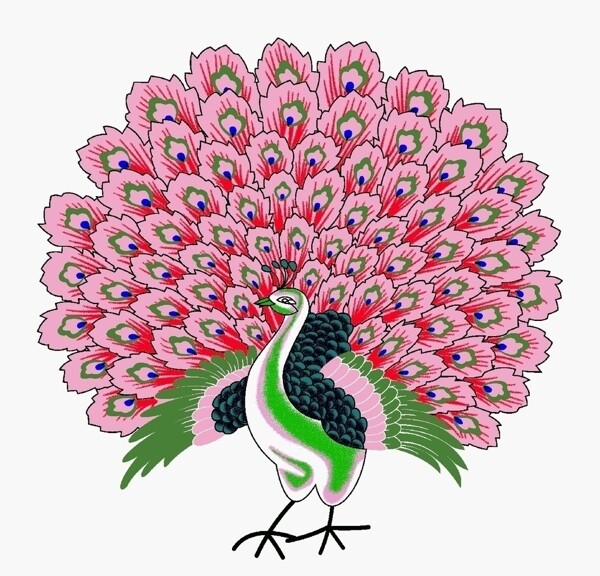 花花孔雀图片