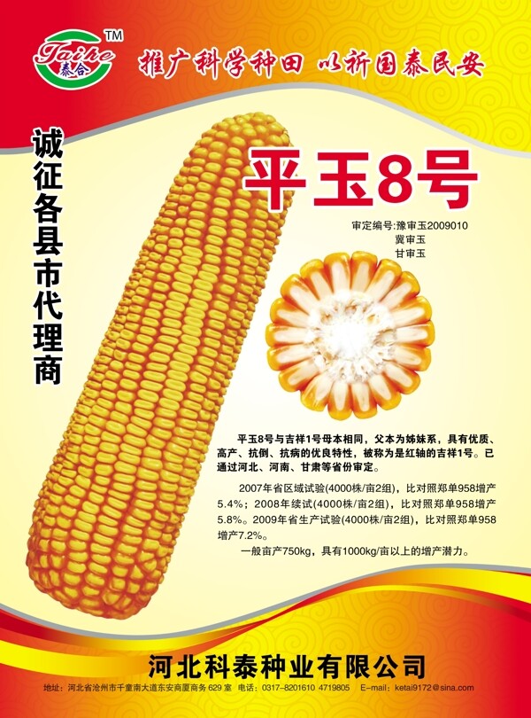 玉米宣传页