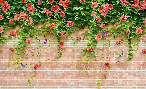 砖墙玫瑰不分层图片